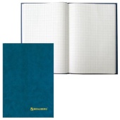 Книга учета BRAUBERG, А4, 160л, клетка, твердая обложка бумвинил, 130182