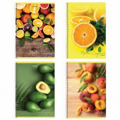 Тетрадь 80л. А4, клетка, гребень, BRAUBERG "Фрукты", ассорти 4 вида, 404051