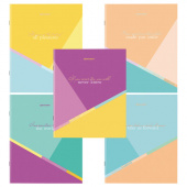 Тетрадь 48л. А5, клетка, скрепка, BRAUBERG "Multicolor", ассорти 5 вида, 404361