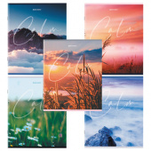 Тетрадь 96л. А5, клетка, скрепка, BRAUBERG "Calm", ассорти, 404435