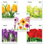 Тетрадь 96л. А5, клетка, скрепка, BRAUBERG "Цветы", ассорти 5 видов, 401845