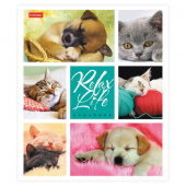 Тетрадь 24л. А5, клетка, HATBER "Relax Life", скрепка, ассорти, 105426