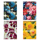 Блокнот А6 80л, клетка, BG "Цвет настроения", ассорти 4 вида, 367834